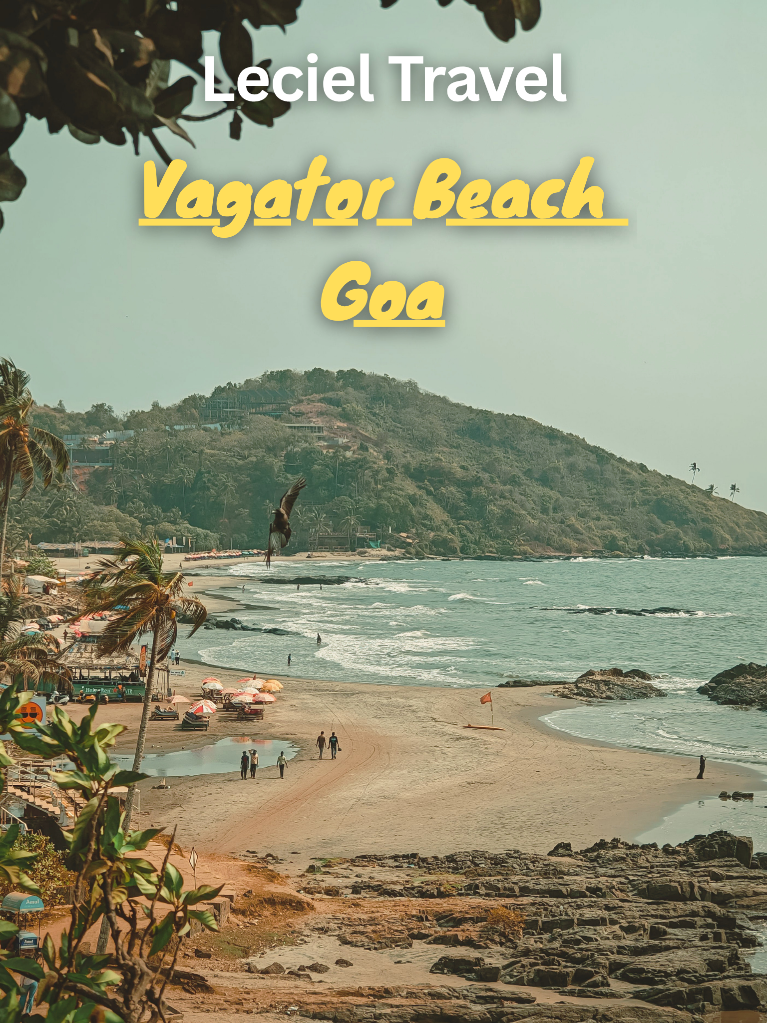 Goa beach and coastline