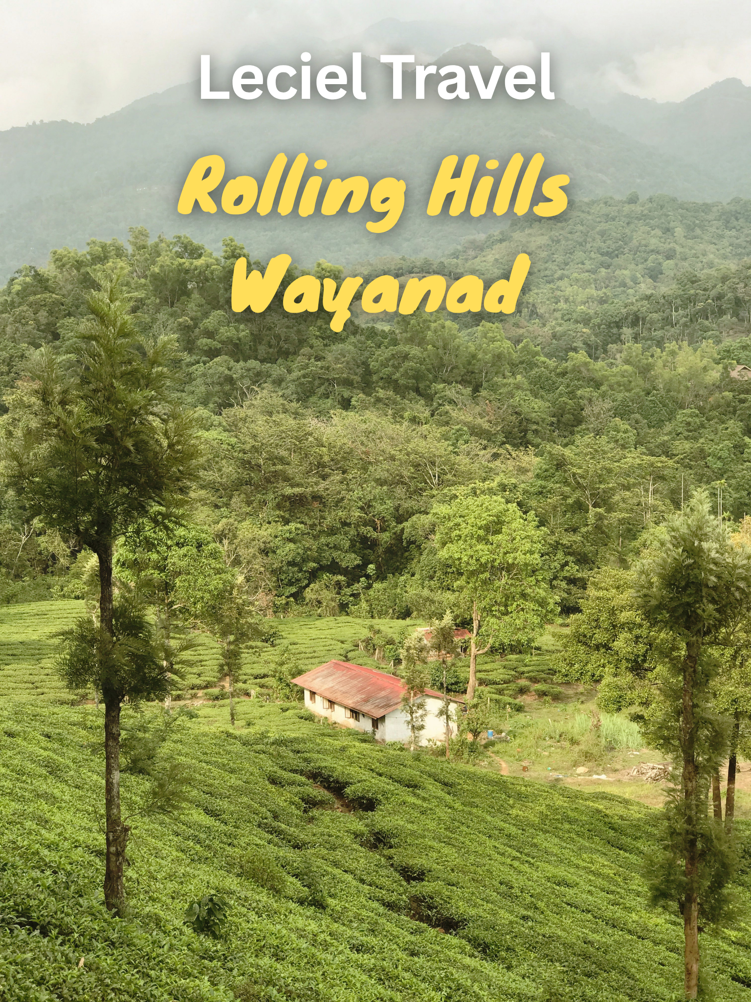 Wayanad forest and waterfalls